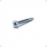 Tornillo Aletado Mecha Zincado 10x2 x2.000 DIEARG