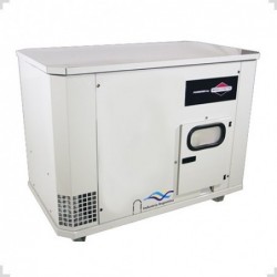 Grupo Electrogeno Cabinado Gas Mon 17Kva Tab BRIGS STRATTON