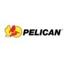 PELICAN