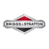 BRIGS STRATTON